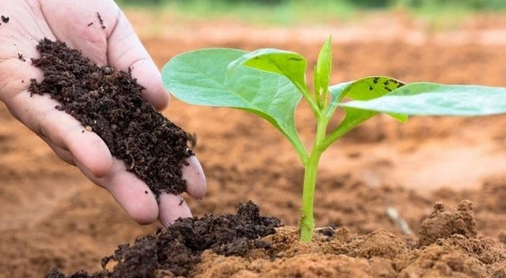 Kimyevi gübre fiyatlarında indirim