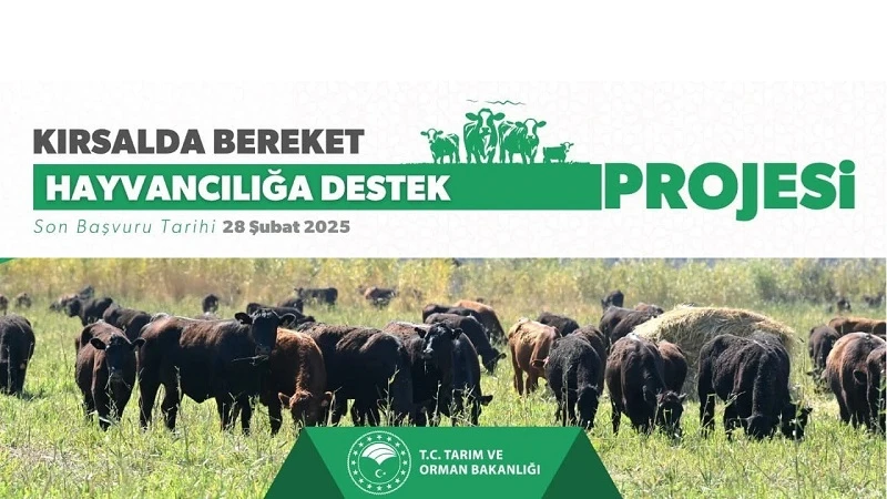Kırsalda Bereket Projesi ile hayvancılığa destek başladı
