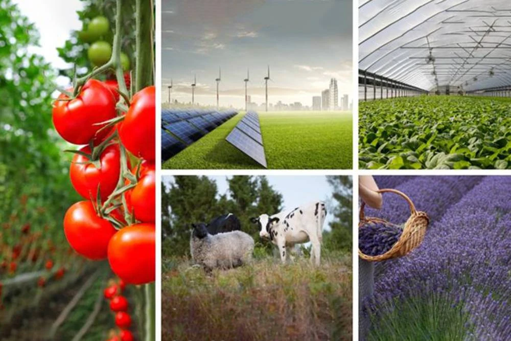 Kırsaldaki 478 projeye 1 milyar lirayı aşkın hibe desteği