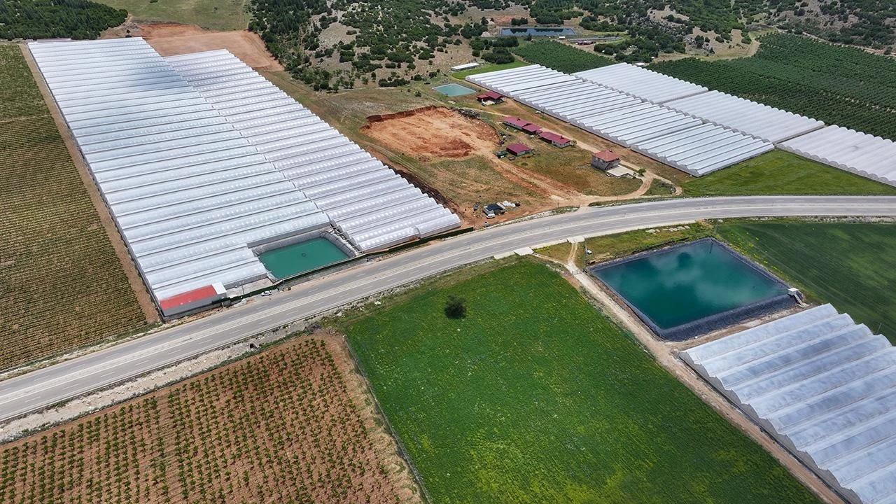 Kırsaldan ekonomiye 400 milyon euro katkı