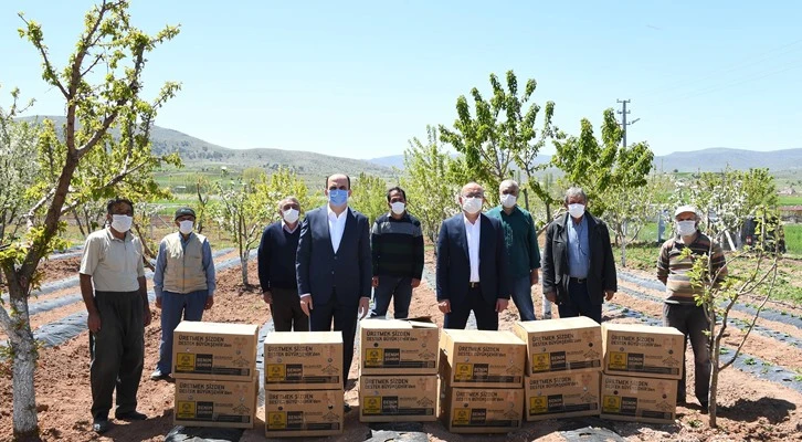 Konya Büyükşehir’den çiftçiye çilek fidesi desteği