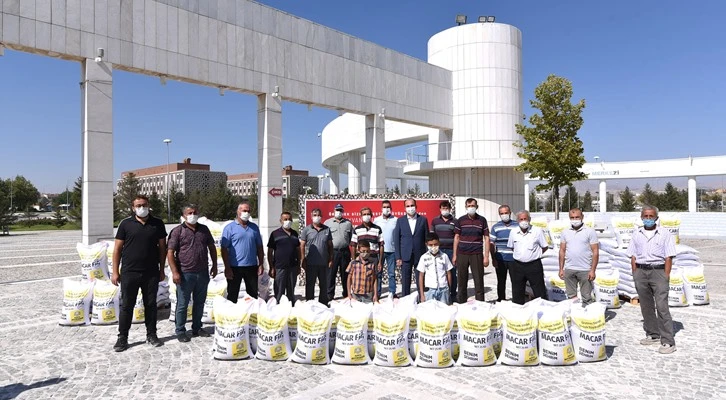 Konya Büyükşehir’den çiftçiye Macar fiği tohumu desteği
