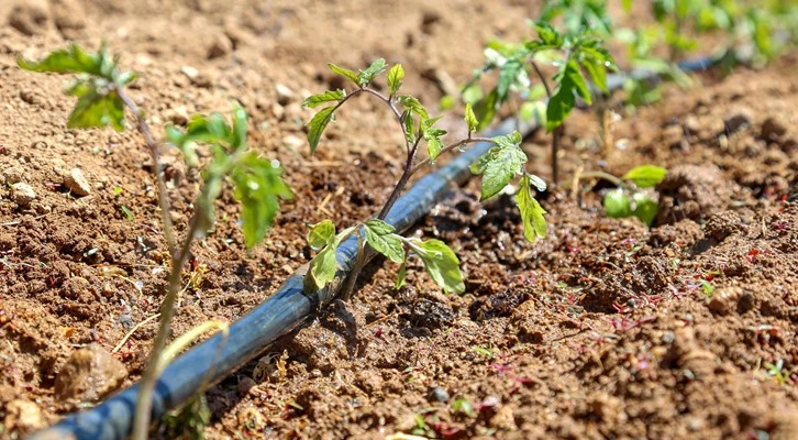 Konya Fide’de satışlar başladı