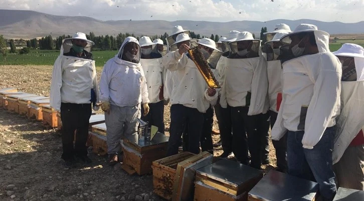 Konya ve Karaman’daki arıcılara FAO’dan destek