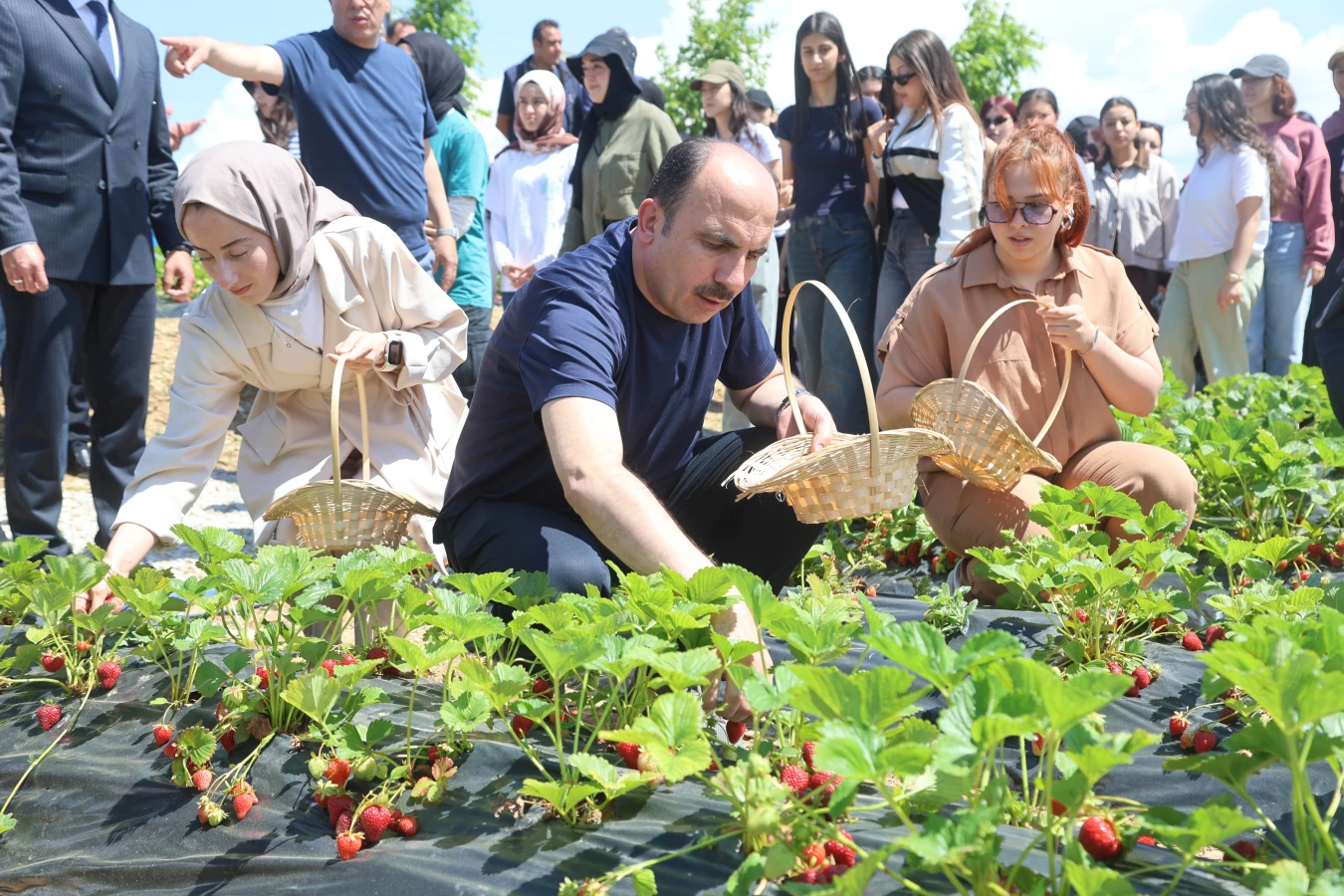Konya'da 2027 yılı tarımsal destek başvuruları başladı: Çiftçilere yüzde 75 hibe desteği