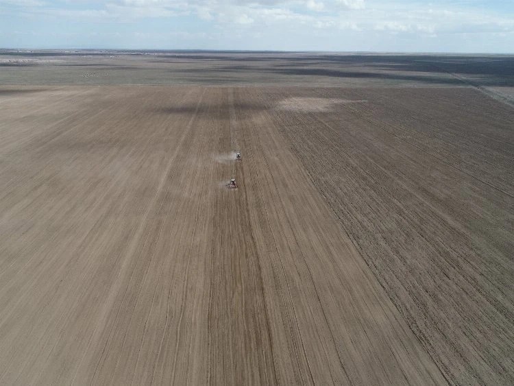 Konya'da atıl araziye aspir ekimi