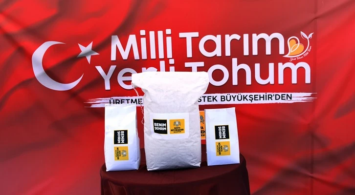 Konya’da yerli ve milli susamların ilk hasadı yapıldı