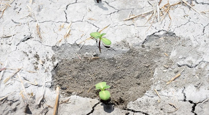 KOP’un yenilikçi projesi yüz güldürdü