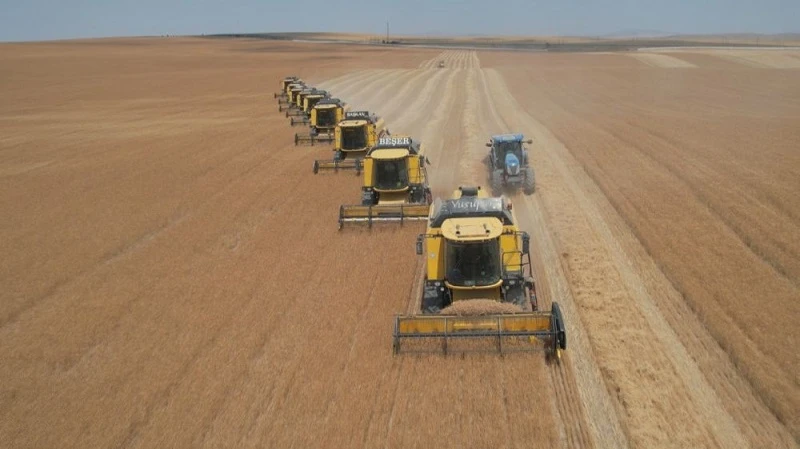 Kurak yıla rağmen umut veren hasat: Verimde yüzde 30 artış