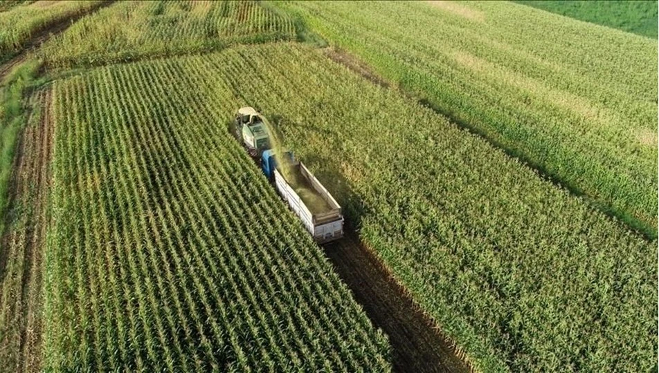 Kuraklığa dayanıklı çeşitlerin ekimi yaygınlaştırıyor