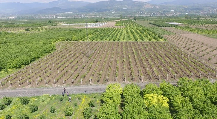 Kütahya ve Sakarya’da sulama sezonu başladı