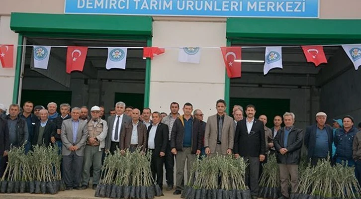 Manisa Demirci'de çiftçilere zeytin fidanı dağıtıldı