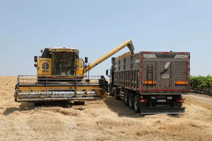 Manisa'da hububat hasadı başladı