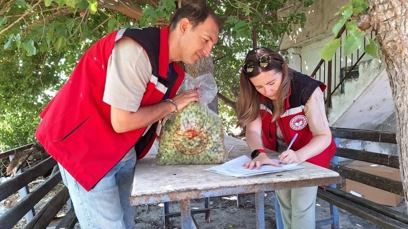 Manisa’da organik tarım alanları büyüyor
