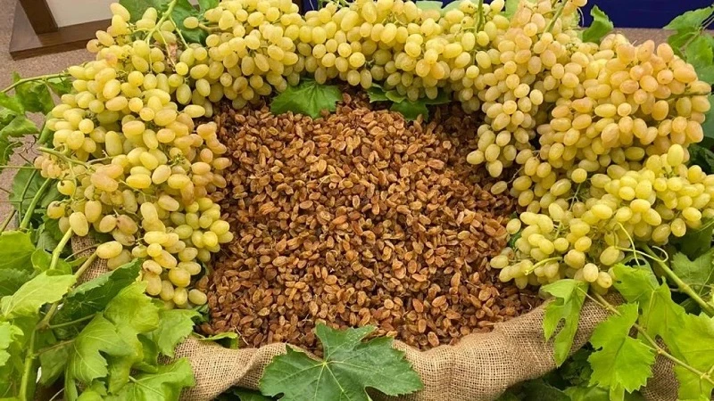 Manisa'nın tarım ihracatı rekor kırıyor: 2025 yılına güçlü başlangıç