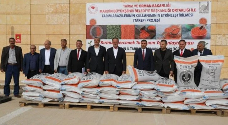 Mardin'de kırmızı mercimek ve buğday tohumu dağıtımı başladı