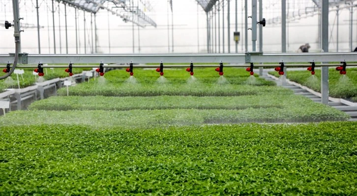 Meram Sebze Fidesi Üretim Tesisi'nde üretilen 3 milyon fide toprakla buluştu  