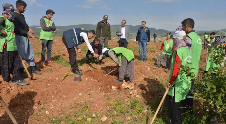 Mersin’de işgal edilmek istenen ormanlık alan “İdlib Şehitleri Hatıra Ormanı” oldu