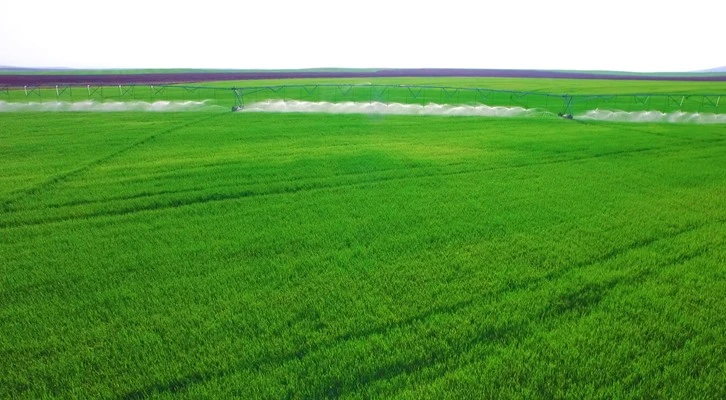 Mezopotamya toprakları suyla buluşuyor