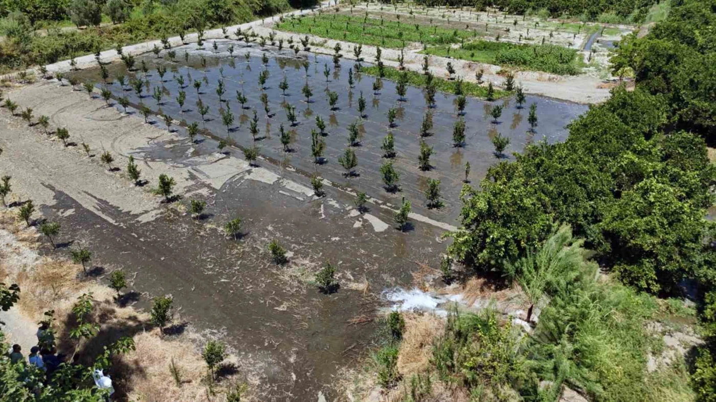 Muğla Büyükşehir Belediyesi tarım üreticisinin yanında