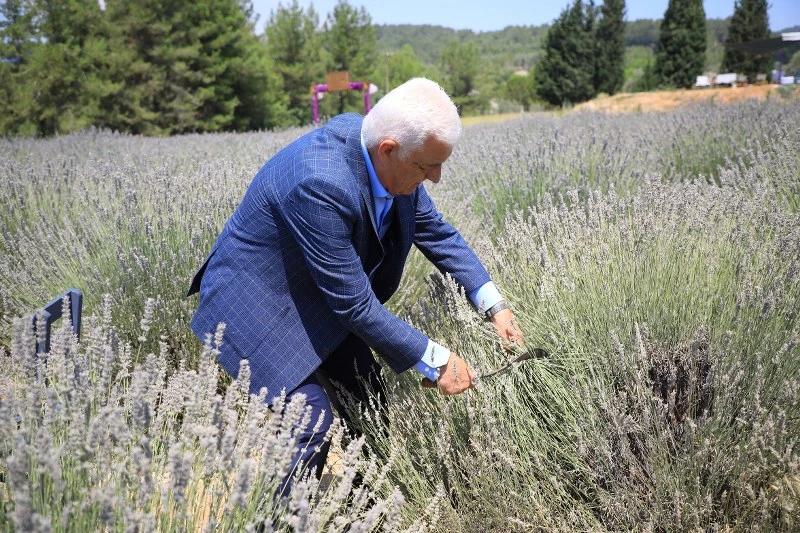 Muğla’da 'tarımsal güçbirliği' üreticiye kazandırıyor