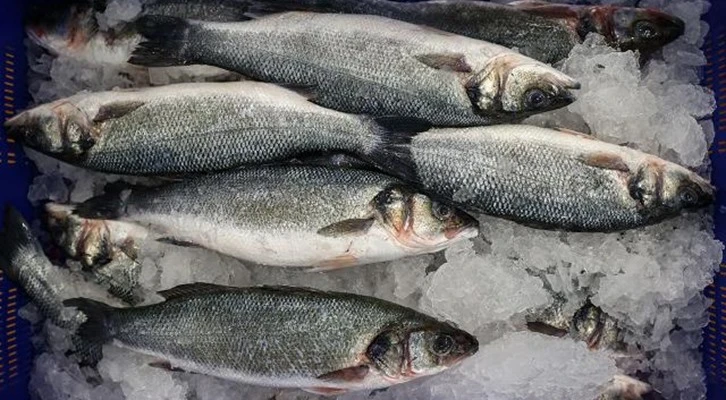 Muğla'dan geçen yıl 84 ülkeye su ürünleri ihraç edildi