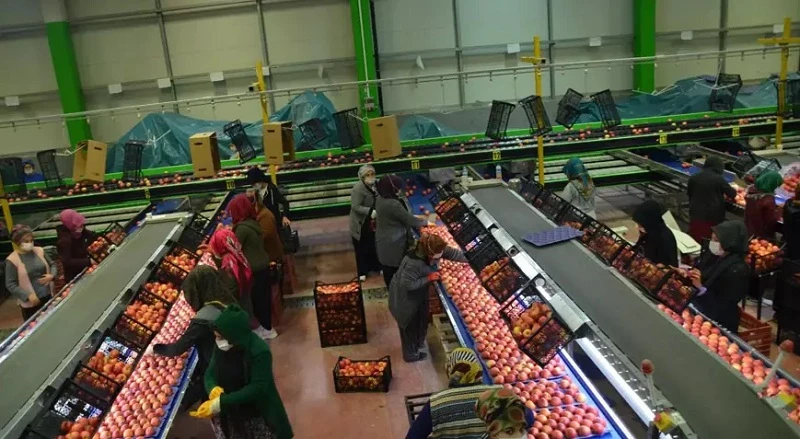 Niğde'de Kırsal Kalkınma Destekleri kapsamında 573 proje onaylandı