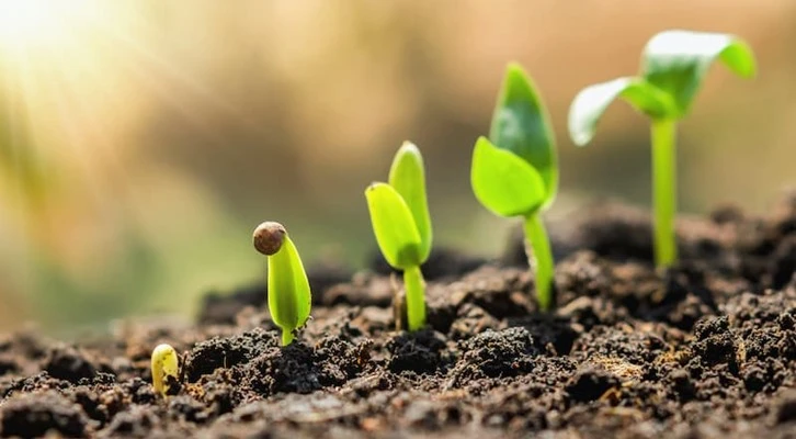 Organik-Organomineral gübre desteği ödemeleri başladı