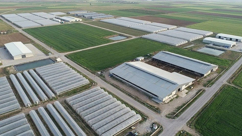 Organize Tarım Bölgeleri'nde büyük artış: Üretim kapasitesi hızla büyüyor