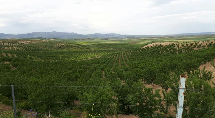 Orman Genel Müdürlüğü'nden Güneydoğu Anadolu Bölgesine 10 Milyar TL destek