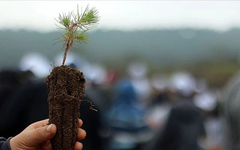 "Orman Haftası"nda fidanlar depremde hayatını kaybedenler anısına toprakla buluşacak