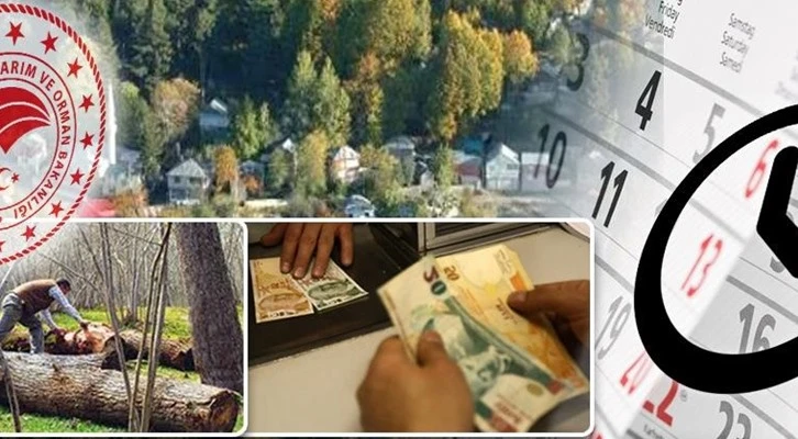 ORMAN KÖYLÜ VE KOOPERATİFLERİNİN KREDİ TAKSİTLERİ KOVİD-19 NEDENİYLE ERTELENDİ