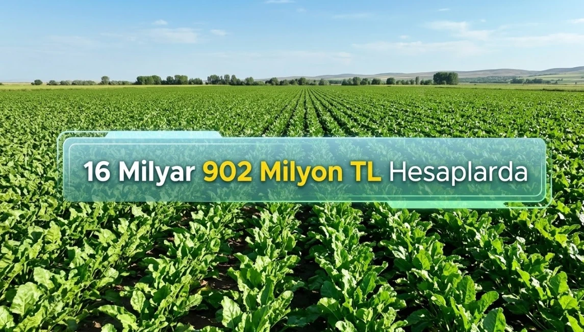 Pancar üreticisine 16,9 milyar liralık dev ödeme: Paralar bugün hesaplarda!