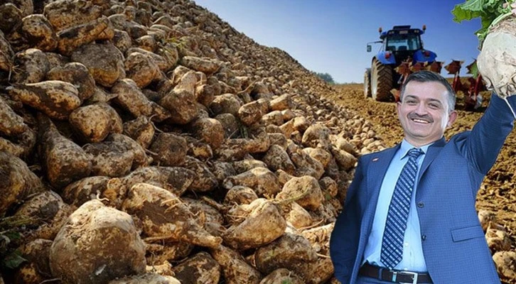 Pancar ve şeker üretiminde tüm zamanların rekoru kırıldı 