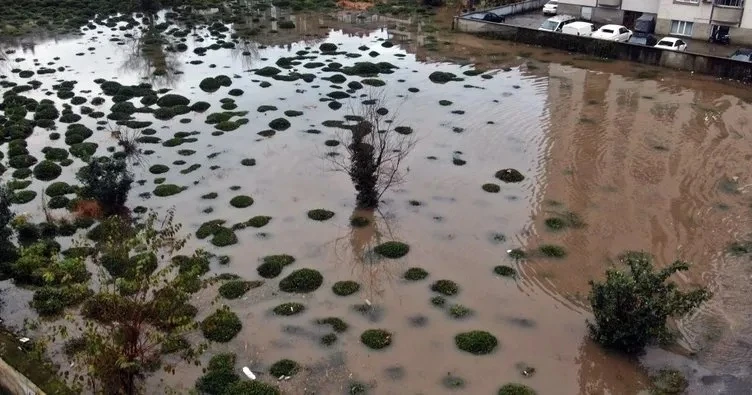 Rize Çayeli'nde çay alanları göle döndü