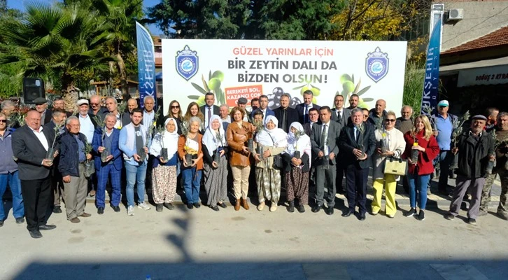 Sakarya Vadisi zeytin bahçesi olacak
