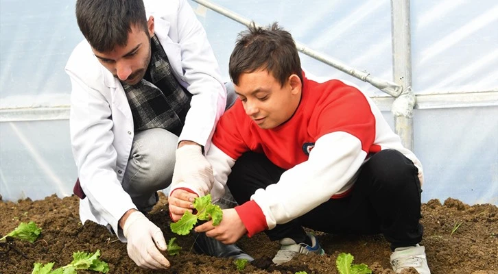Samsun'da özel öğrenciler serada kışlık sebze yetiştiriyor