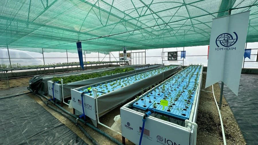 Seyhan’ın yenilikçi tarım uygulamaları serası hizmete açıldı