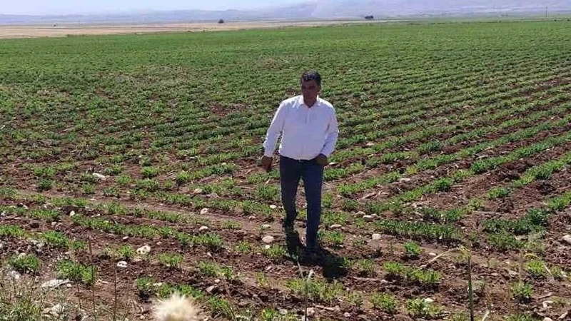 Silopi’ye ‘Sera Organize Tarım Bölgesi’