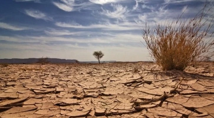 Son 16 yılda Konya büyüklüğünde tarım alanını kaybettik