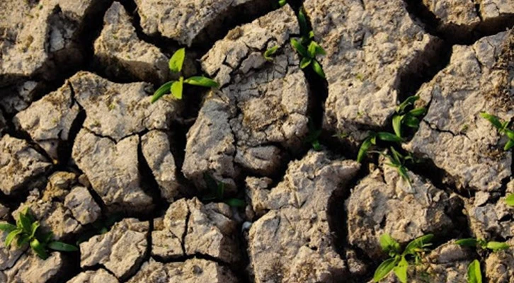 Son 18 yılda 4,7 milyar adet fidan toprakla buluştu