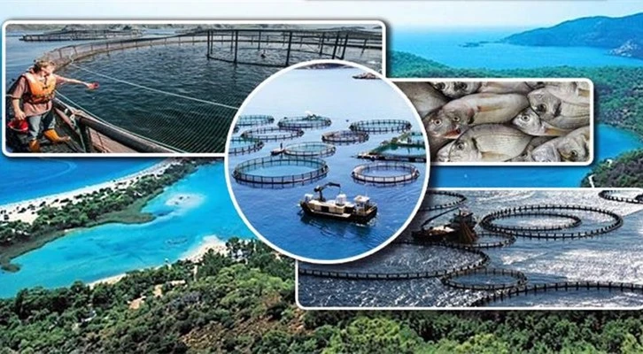 Su ürünleri ihracatında hedef 2 milyar dolar 