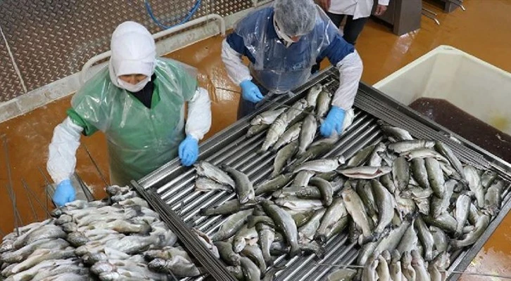 Su ürünlerinde ihracat hedefimiz 2 milyar dolar