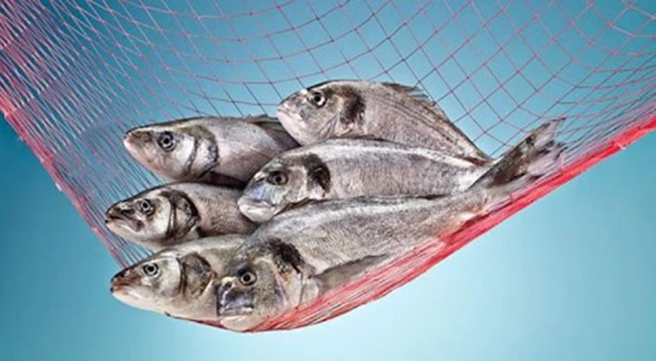 Su ürünlerinde rekor üretim; İhracat bir milyar doları aştı