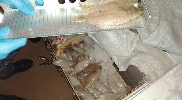 Su ürünlerine sıkı denetim; İstanbul’da 7 ton su ürününe el konuldu