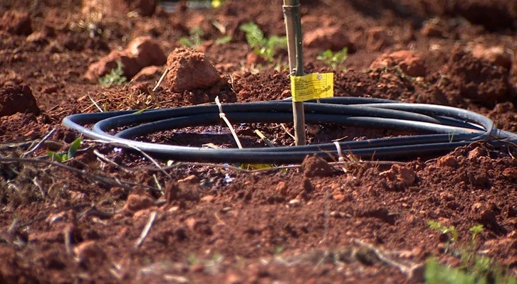 Sulama ekipmanlarının yüzde 98'i yurt içinde üretiliyor