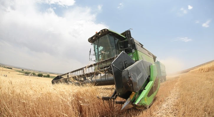 Suruç’ta hububat hasadı başladı