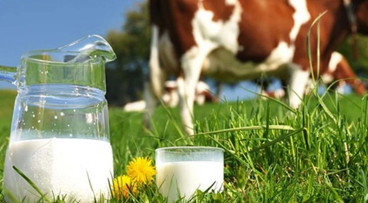 Süt üreticilerine bu yıl sağlanacak çiğ süt desteği ve süt piyasasının düzenlenmesine ilişkin hususlar belli oldu