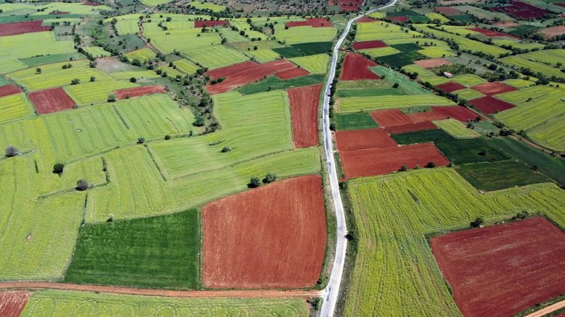 Tahıl üretimi 2024'te yüzde 7,5 azaldı