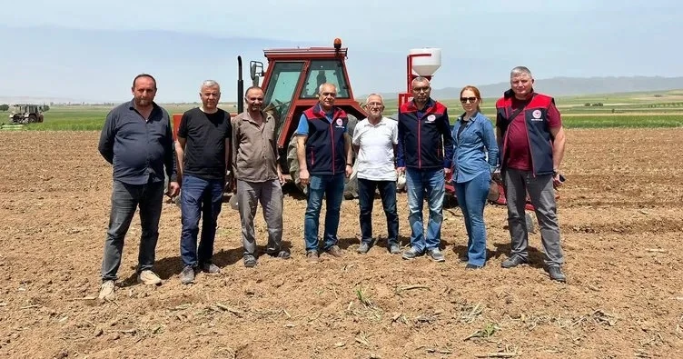 Tarım arazileri değerlendiriliyor! Soya üretimi yaygınlaşıyor